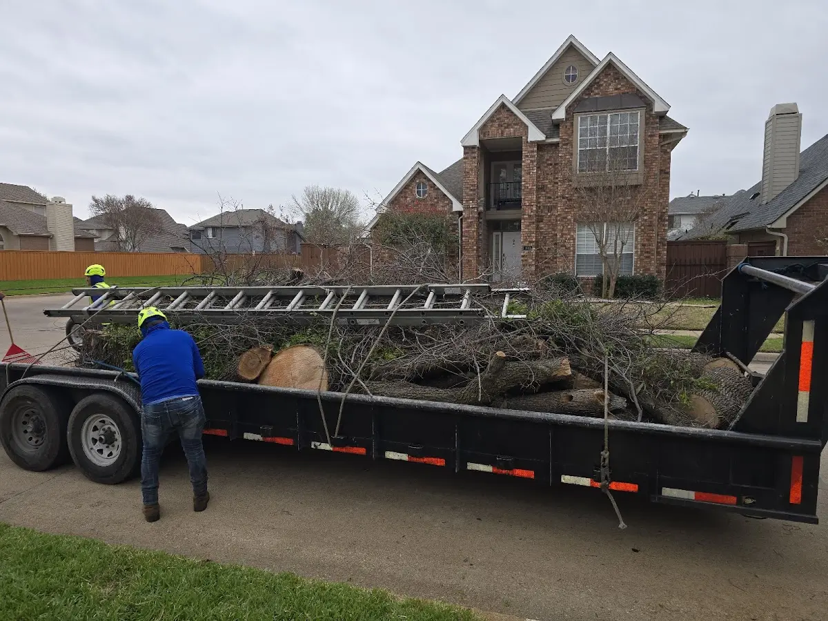 Expert Tree Fertilization with proper safety equipment in Rigby
